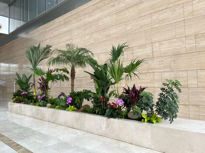 镇海植物租摆秘籍，轻松营造自然舒适环境